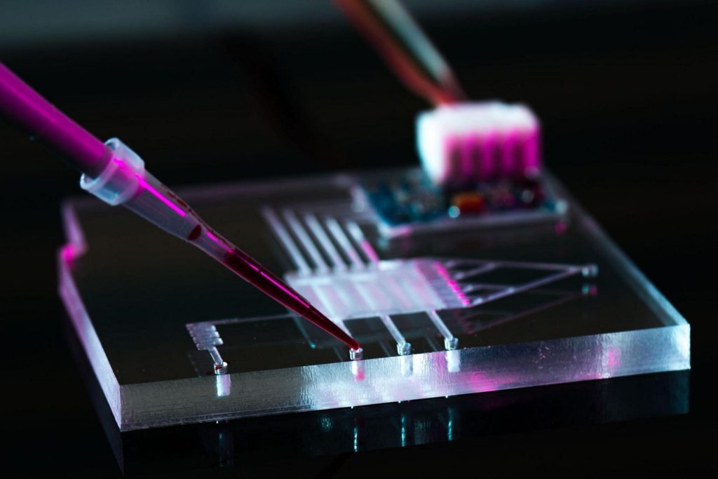 Worms In The Cloud: How Nematodes And AI Are Transforming R&D