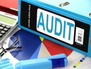 Checklist For Internal Audit Of A Private Limited Company