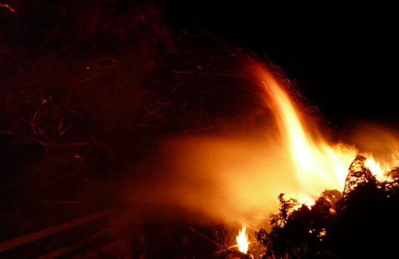 Fire-and-Flame-Textures-Fire-that-consumes-vegetation Awesome fire background images to grab from this article