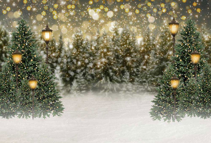 13-1 20 Amazing Christmas Backdrop Ideas You Must Try This Christmas