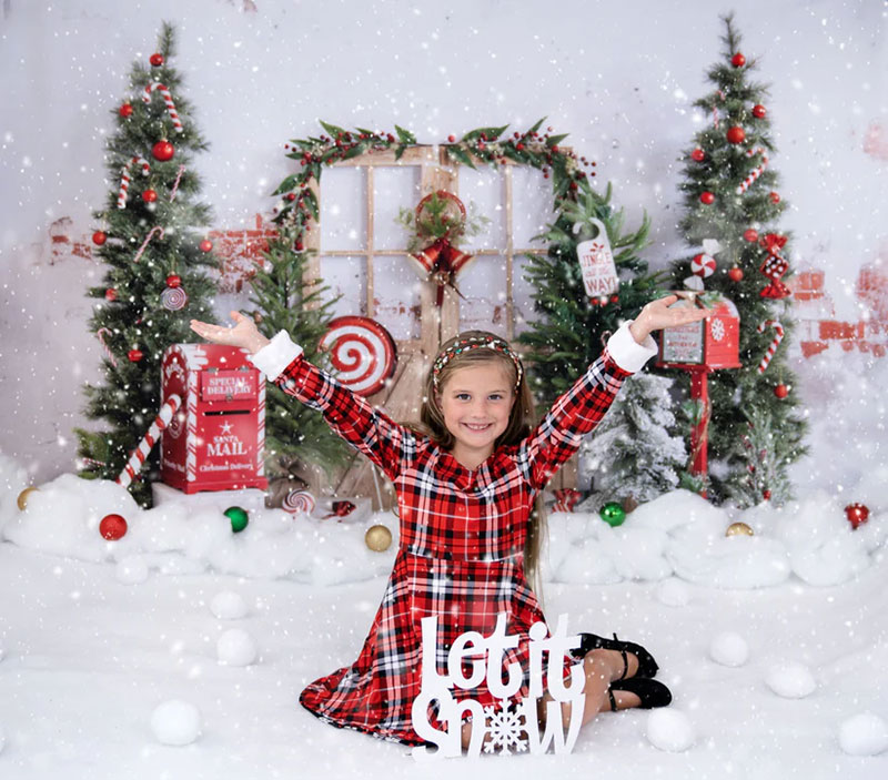3-1 20 Amazing Christmas Backdrop Ideas You Must Try This Christmas