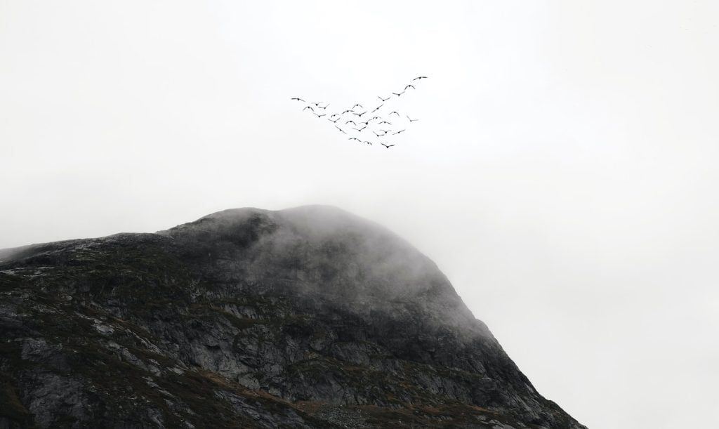 Why Businesses Are Migrating to Web Applications