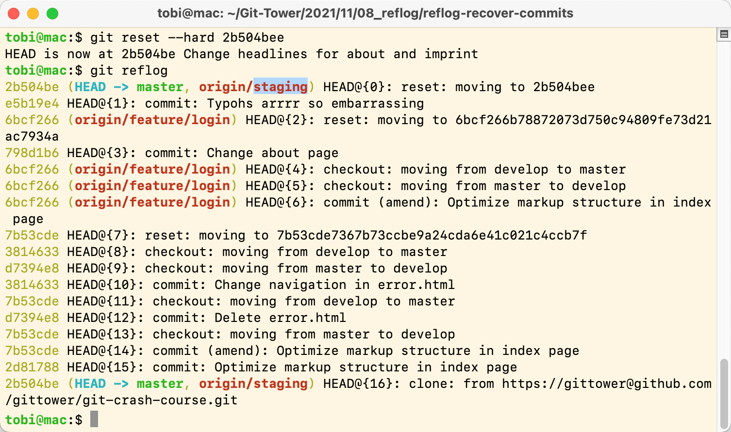 Screenshot of an open Terminal window with a light yellow background. The text is mainly black, but some words are highlighted in red, light blue and bright green. The top line is the git reset --hard 2b504bee command. The second line says the head is now at that commit ID. The third line is the git reflog command, which outputs the history.