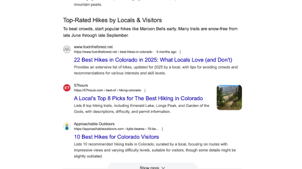Google Web Guide: What It Is, How It Works, and What It Means for SEO