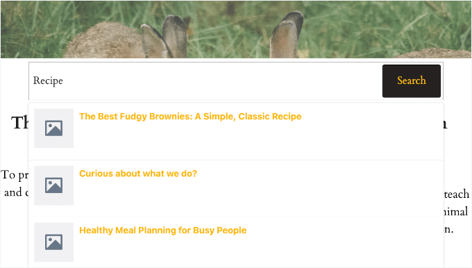 Previewing search bar with live autocomplete Previewing search bar with live autocomplete