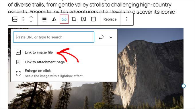 Choose the 'Link to Image File' Option Choose the 'Link to Image File' Option