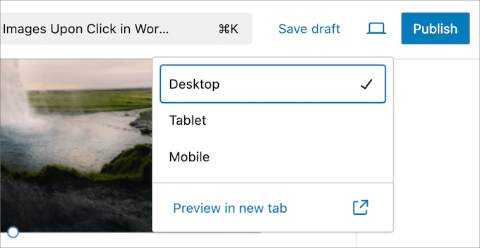 Preview image in new tab Preview image in new tab