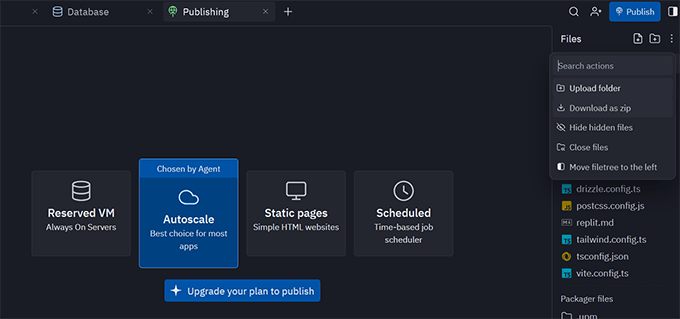 Publish replit website Publish replit website