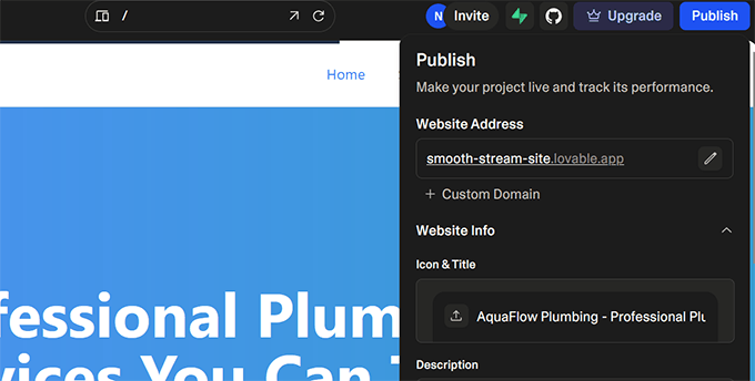 Publishing options on Lovable Publishing options on Lovable