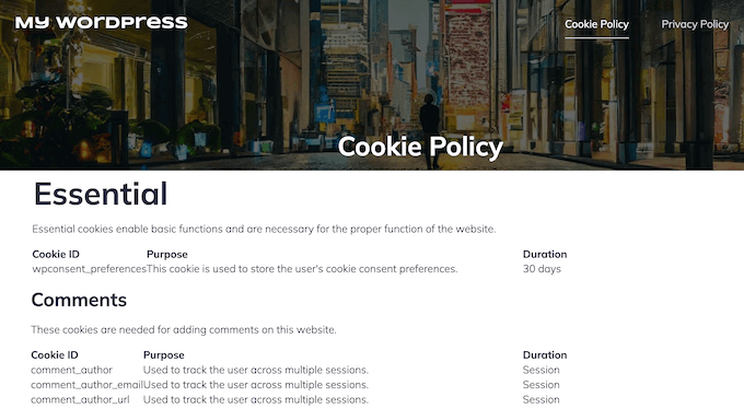 An example of a detailed cookie policy, generated automatically using WPConsent 