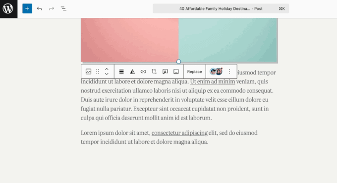 Show Hidden Block Animation showing how to reveal a hidden block